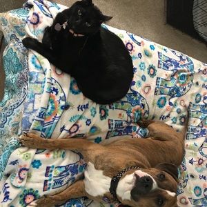 Meet your Posher, Lauren